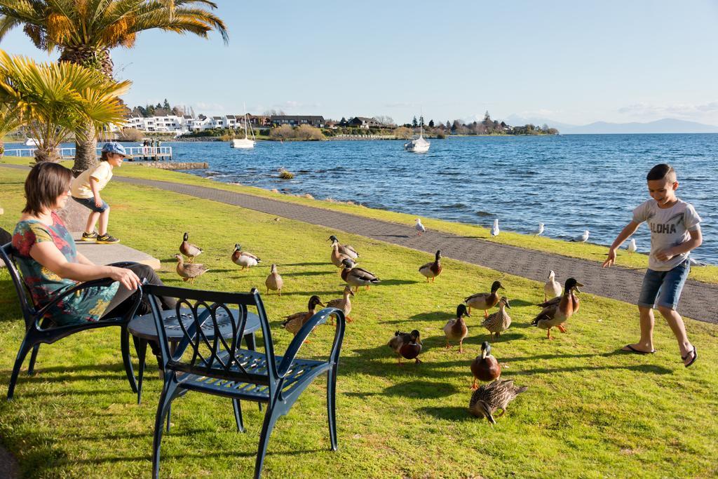 Oasis Beach Motel Taupo Exterior foto